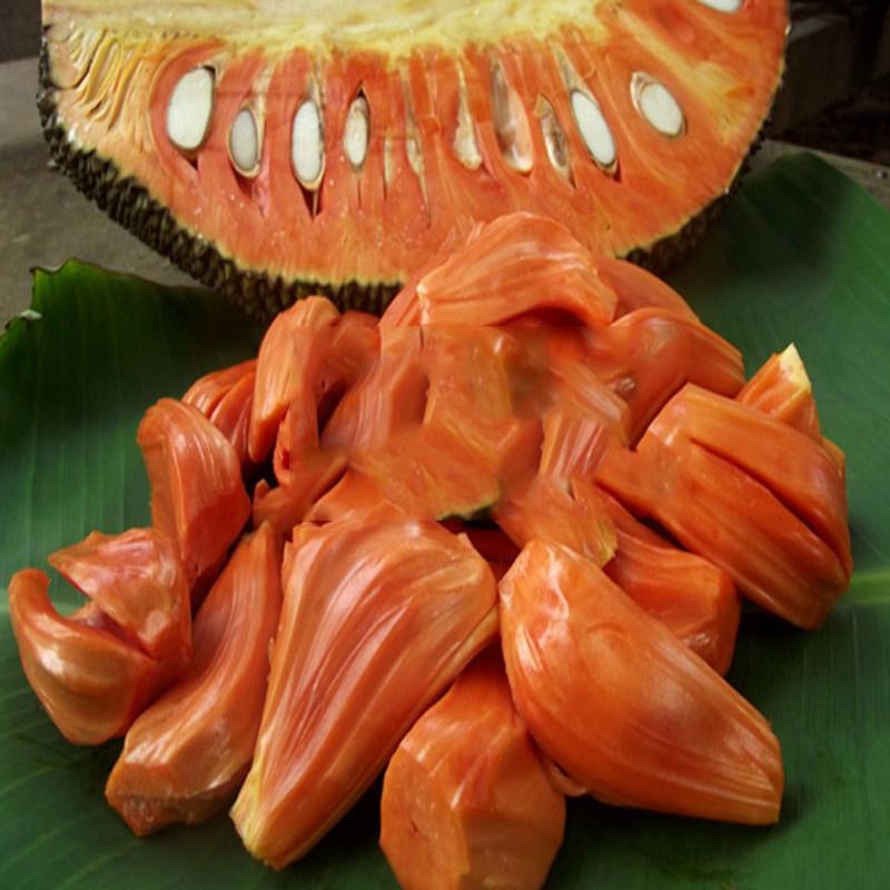 Mít ruột đỏ